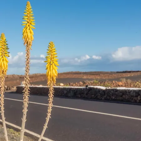 בית נופש Almar