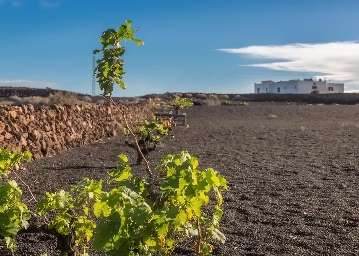 Дом отдыха Almar *