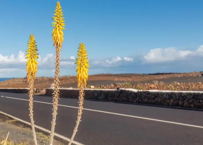 Дом отдыха Almar